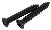 1977-1982 Corvette Rear Window Shade Handle Screws 2/Set - CA-43713-Corvette-Store-Online