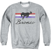 FORD BRONCO/BRONCO STRIPES