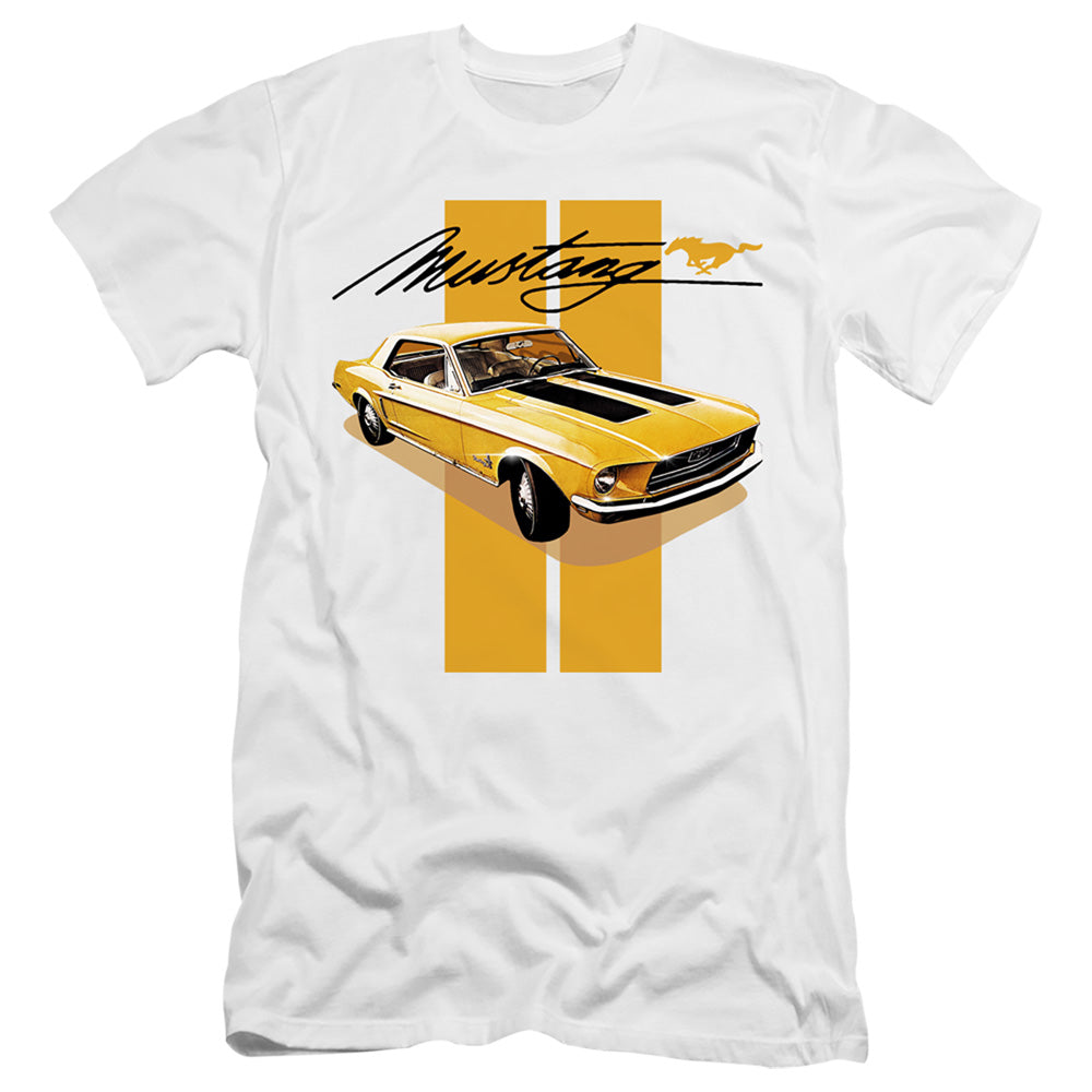 FORD MUSTANG/STANG STRIPES