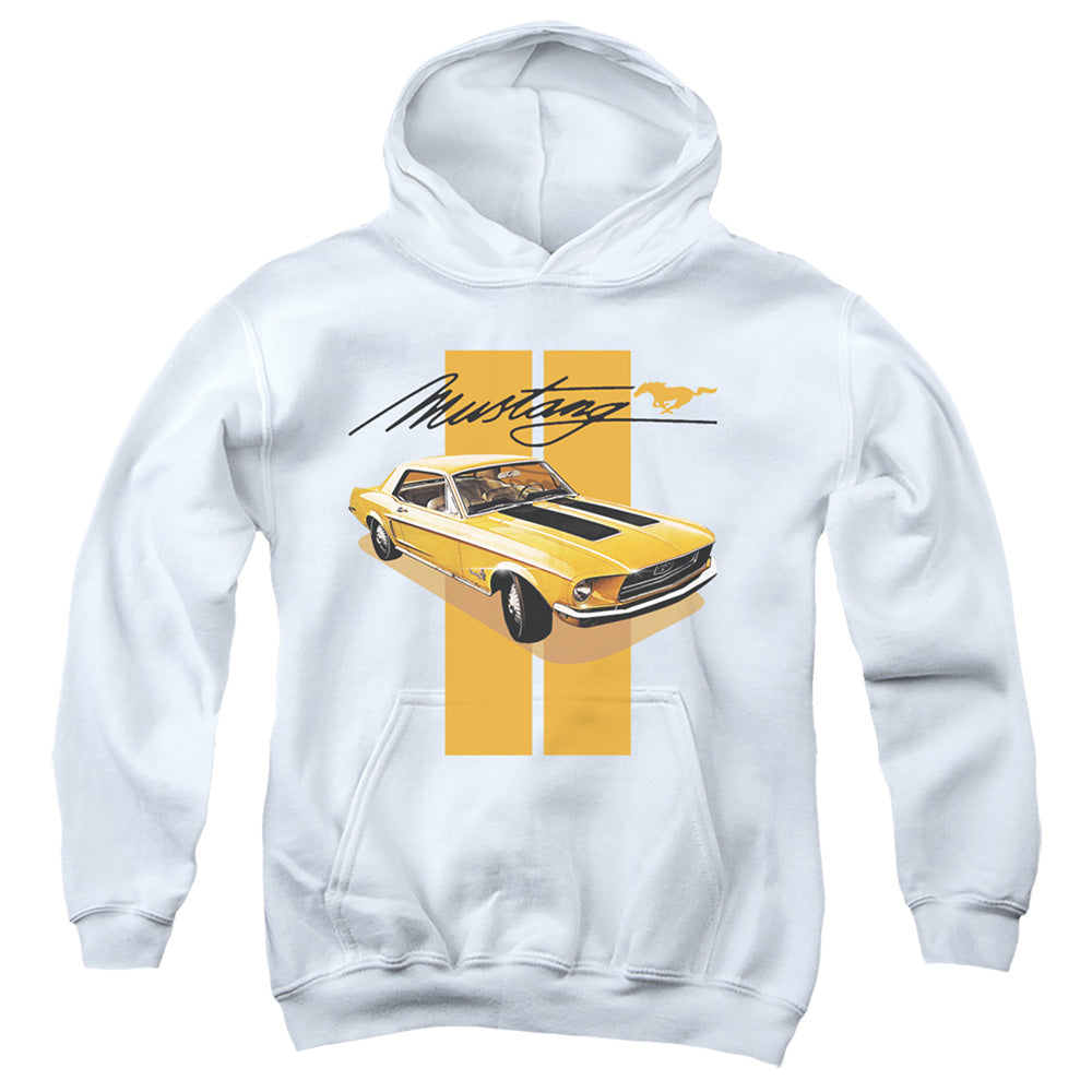 FORD MUSTANG/STANG STRIPES