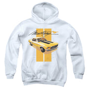 FORD MUSTANG/STANG STRIPES